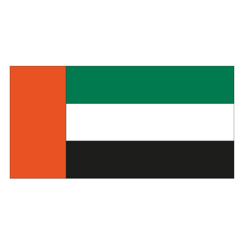 United Arab Emirates team logo