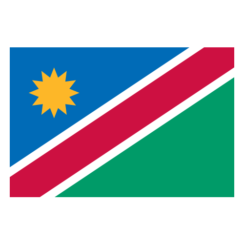Namibia team logo