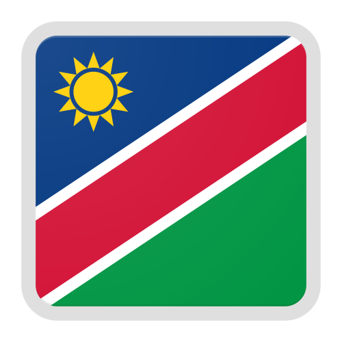 Namibia team logo
